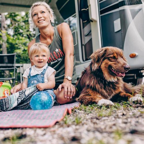 Bobil og hund