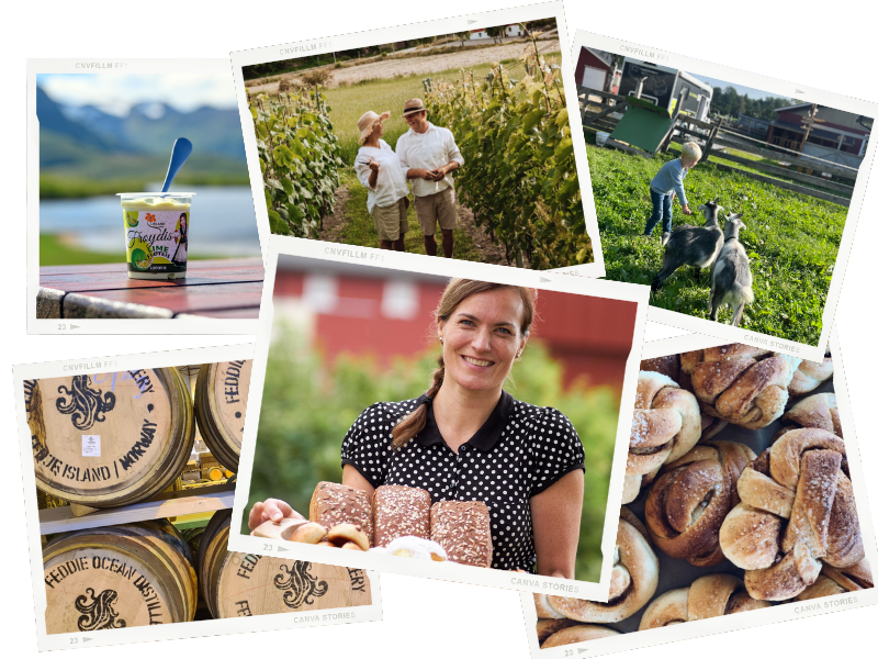 NorTrip_collage Nortrip_opplevelser<br />
